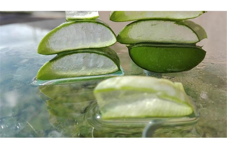 skin care products aloe vera