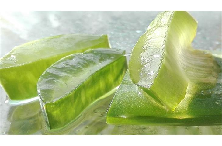 skin care products aloe vera