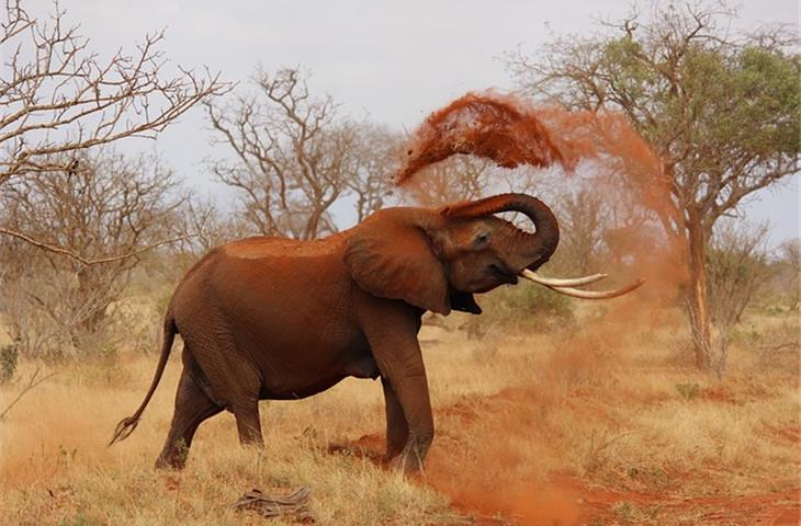 drunk elephant skin care kit