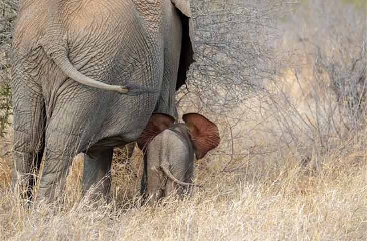 drunk elephant skin care routine